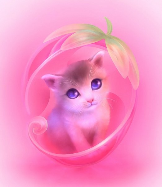 Розовая кошка