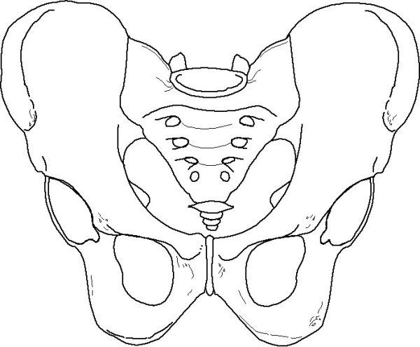 Кости таза Кощея