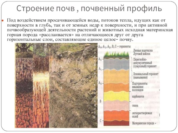 Дерново-подзолистые почвы профиль схема