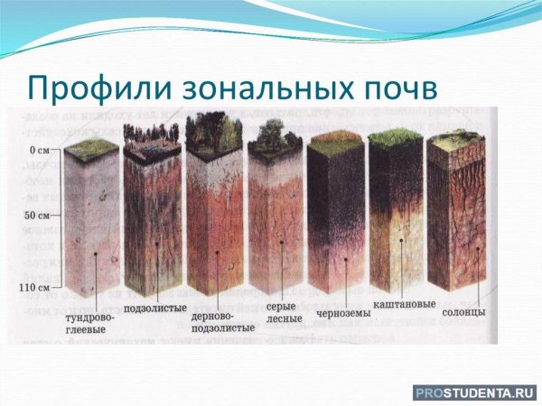Строение профиля типов почв