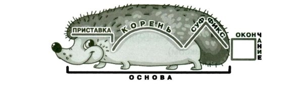 Состав слова Ежик