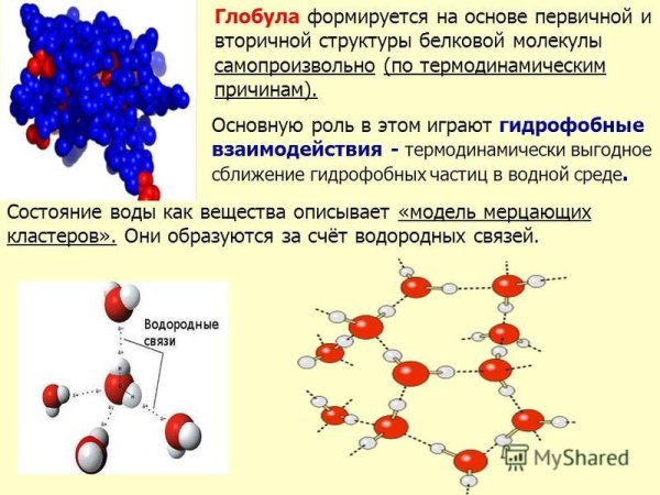 Глобула (астрономия)
