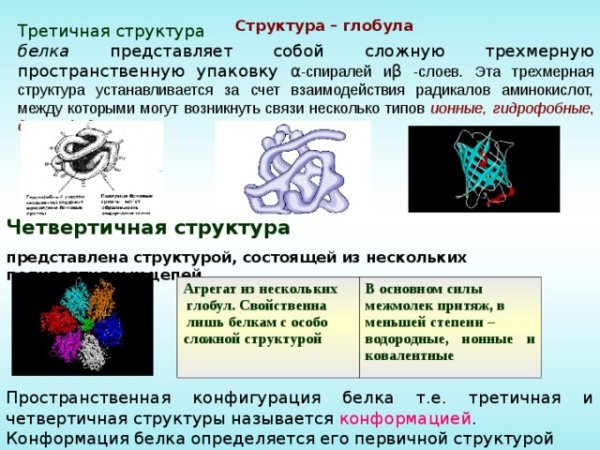 Глобулы Теккерея