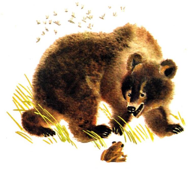 Мамин-Сибиряк сказка про комара Комаровича