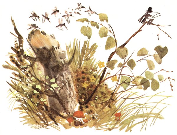 Про комара Комаровича длинный нос и про мохнатого Мишу короткий хвост