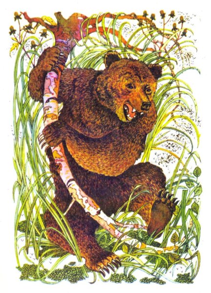 Комар Комарович сказка мамин Сибиряк