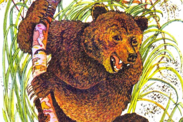 Мамин-Сибиряк сказка про комара Комаровича