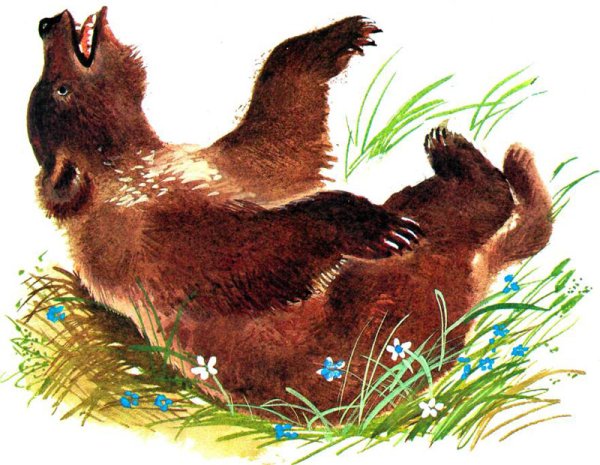 Про комара Комаровича длинный нос и про мохнатого Мишу короткий хвост