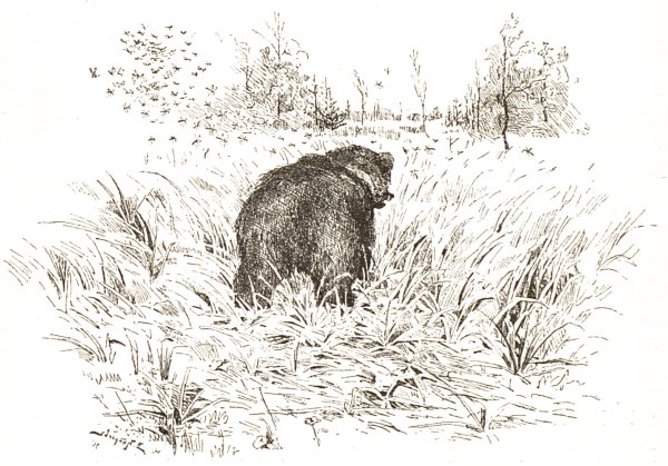 Алёнушкины сказки комар Комарович