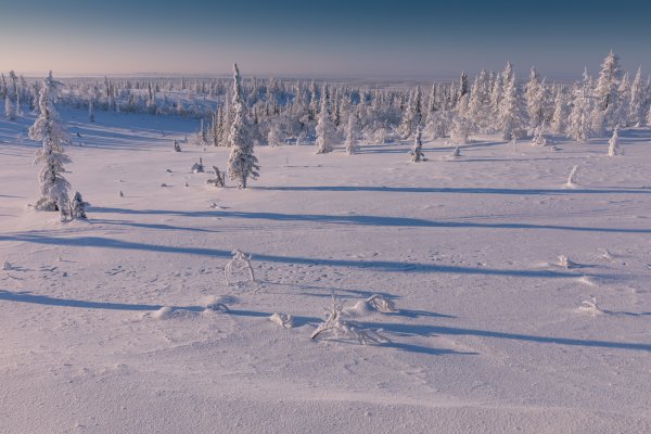 Тундра снег