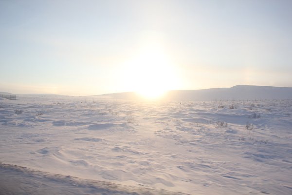 Тундра зима