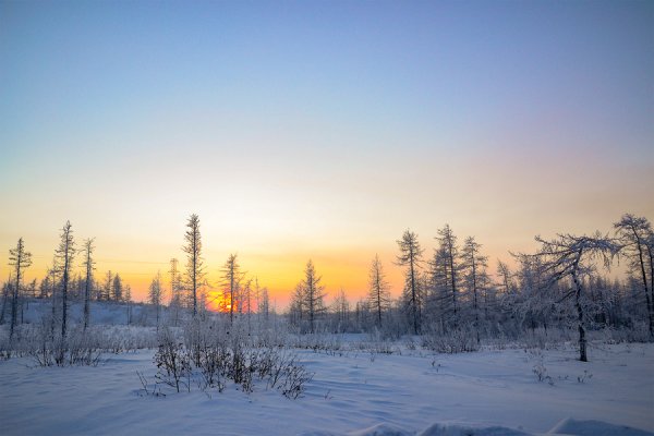 Тундра зимой картинки (49 фото)