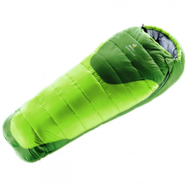 Спальный мешок Deuter Dream Lite 300