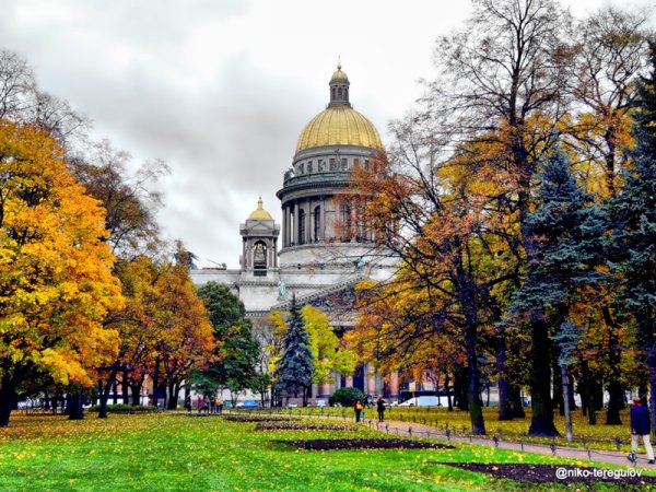 Золотая осень в Питере 2022