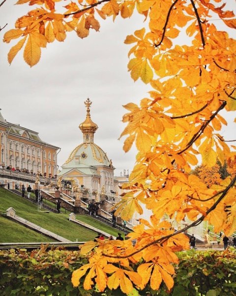 Петербург осень Петергоф