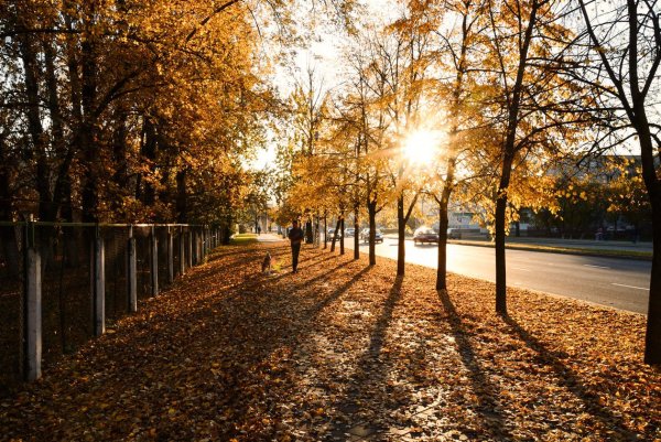 Томск набережная осенью