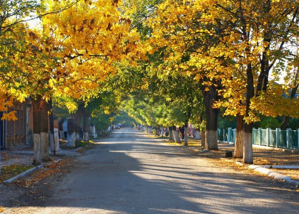 Осень Белгород Ленина