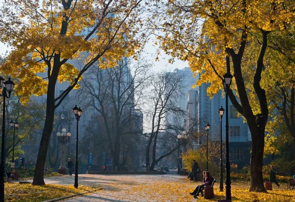 Осень в городе