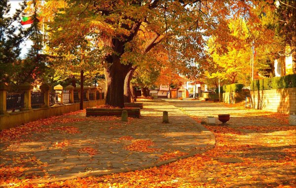 Золотая осень в Ереване