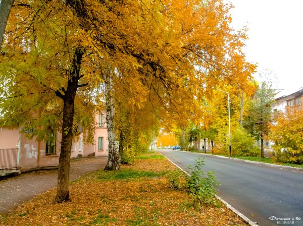 Осень парк !верхняя !Пышма