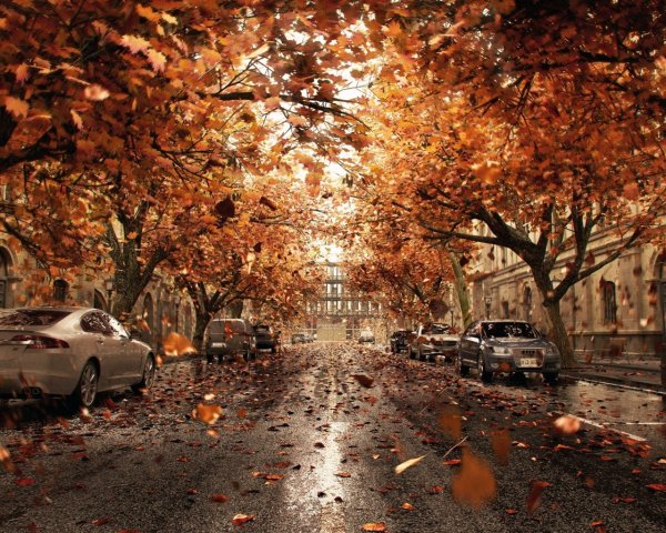 Осень город дорога