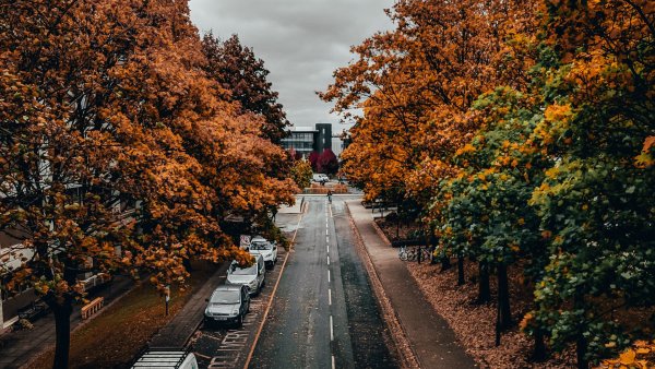Осенние улицы города