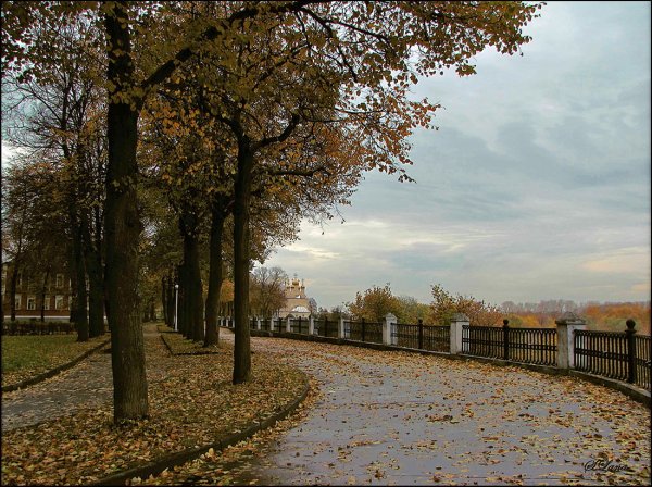 Рязань город осень
