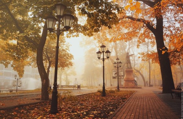 Воронеж Петровский сквер осенняя аллея