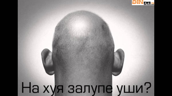 Фрукты в виде члена
