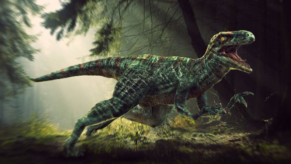 Динозавр Велоцераптор