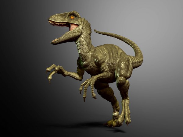 Раптор Велоцераптор