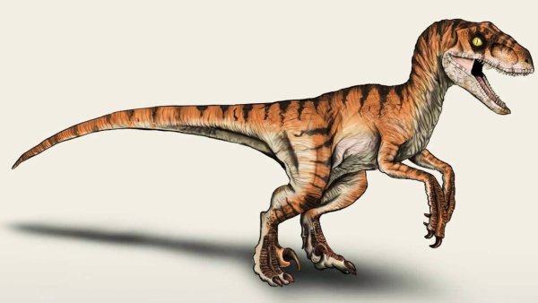 Раптор Велоцираптор Ютараптор