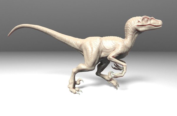 3d модель Велоцераптор парк Юрского периода