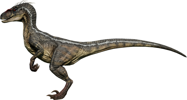 Isla Велоцераптор