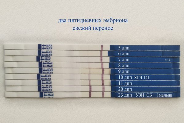 Тесты на беременность после переноса эмбрионов 5