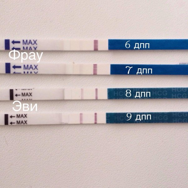 6 ДПП эвитест с призраком