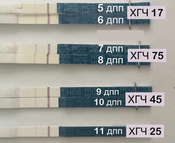 Тесты ХГЧ после переноса 5