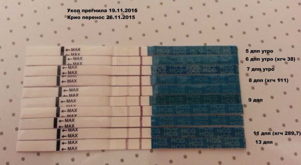 Тест на беременность после подсадки эмбрионов