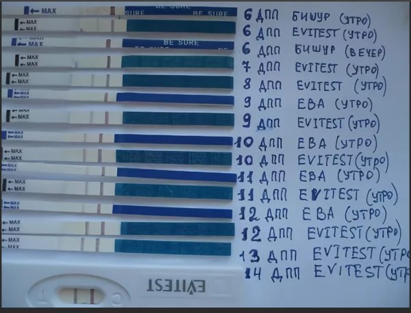 Эко тесты на беременность после переноса эмбриона