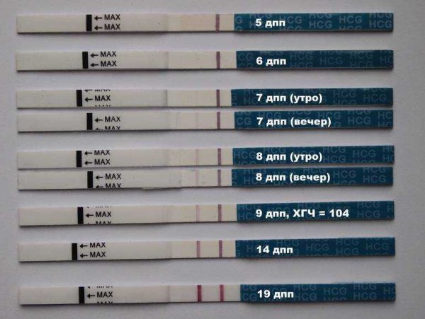 Тест на беременность 5 дней после подсадки
