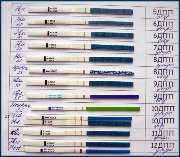 Тест на беременность на 5 день после переноса эмбрионов