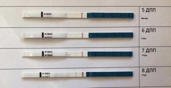 7 ДПП пятидневок тест