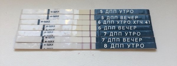 6дпп тест на беременность