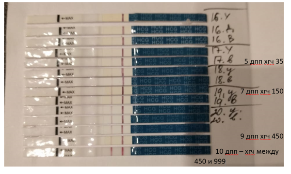 После переноса эмбриона ХГЧ 10