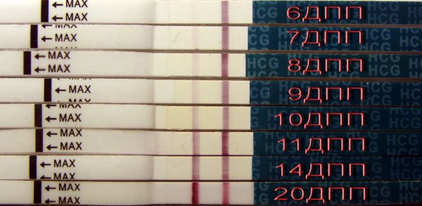 Тесты после переноса эмбрионов