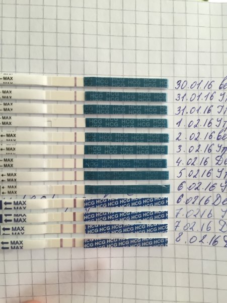 Тест на беременность после переноса 3 дневных эмбрионов