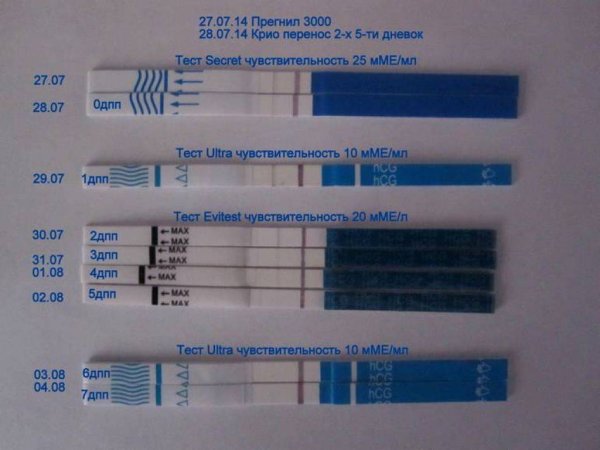 Тесты на беременность на 5 ДПП эмбрионов