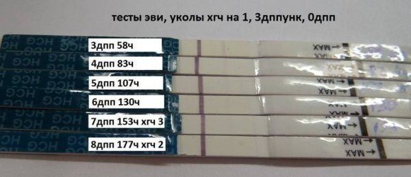 Тест на беременность на 5 день после подсадки эмбриона