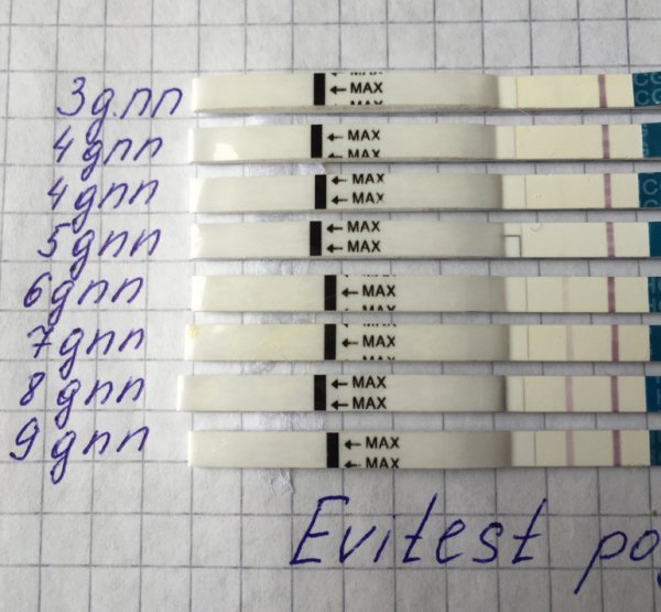 Тесты после подсадки эмбрионов
