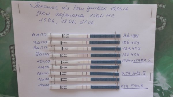 Тест на беременность на 7 день после эко